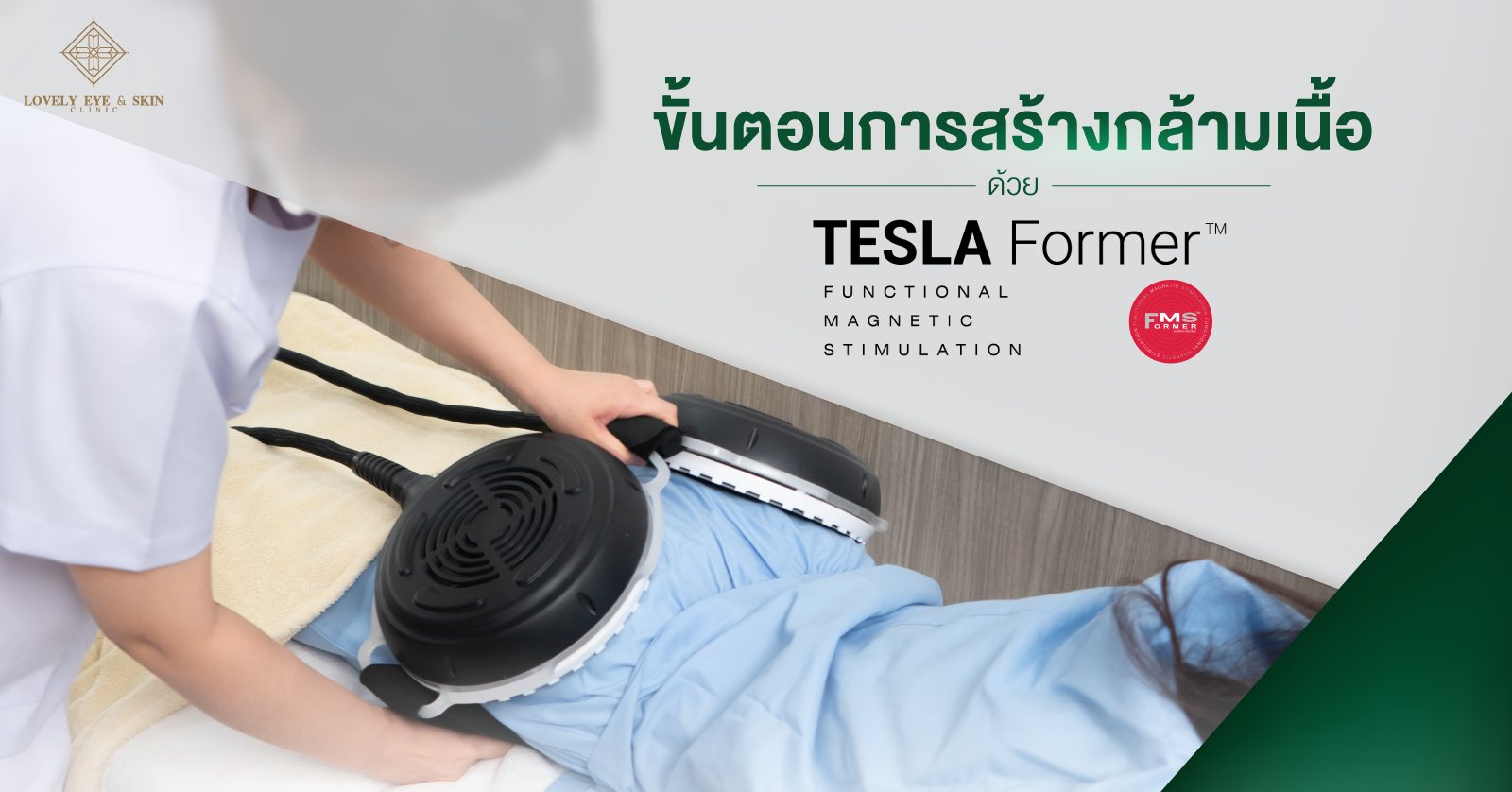 ขั้นตอนการสร้างกล้ามเนื้อ Tesla Former