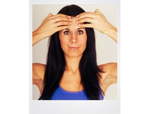 The-Smooth-Brow_0.jpg