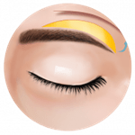 Tip ยกคิ้ว2_0.png